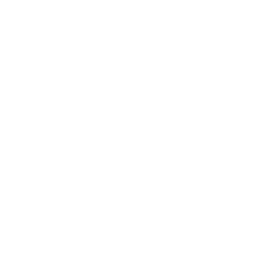 Mitsubishi Motors